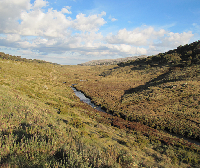A mountain stream in Kosciuszko National Park with organic rich soils