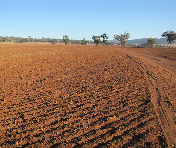 Mecathloan Downs soil landscape found in the Liverpool Plains catchment in northern NSW.