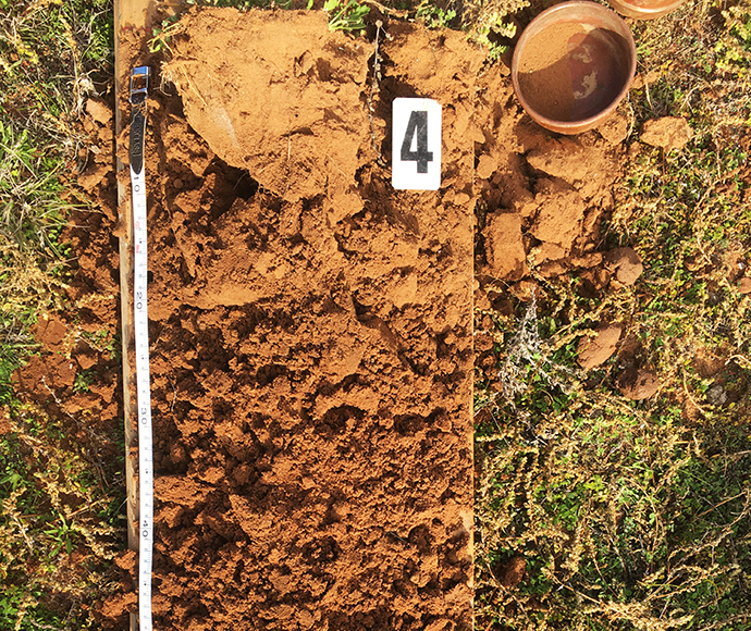A soil profile at Rick Farley Reserve