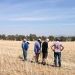Soil Knowledge Network: Inspecting soil surface condition, Cowra 