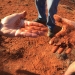 Soil Knowledge Network: examining soil textures 