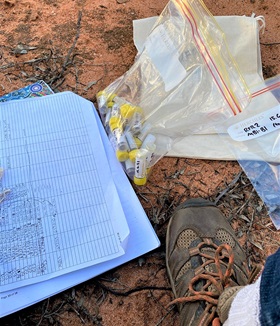 Sheet of paper, plastic zip lock bags containing yellow capped vials and the shoe of person standing on red-brown earth.