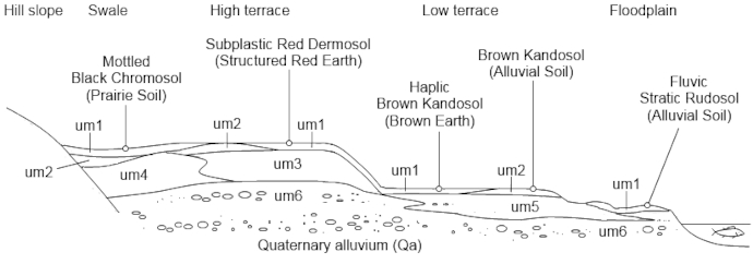 Black-and-white diagram of a location depicting from hill slope to floodplain, with a fish in water depicted at the right-most edge, and with different soil types marked