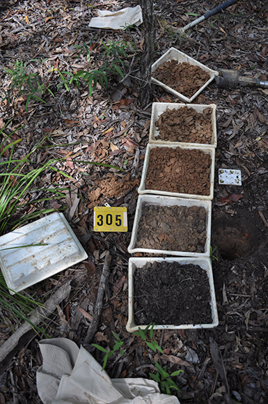 Soil sample trays and equipment, Yuraygir National Park, NSW