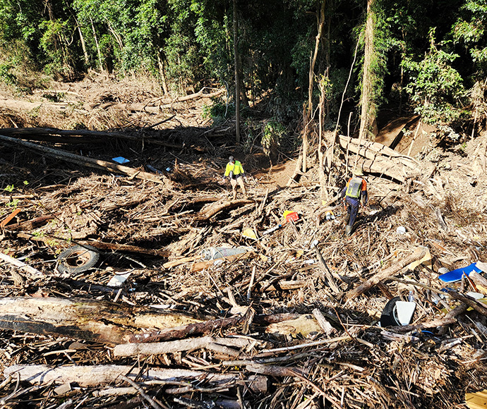 Flood debris at Andrew Johnston Nature Reserve is 5 m deep and has decimated regenerating rainforest
