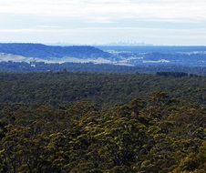 The view of the Sydney skyline over rugged bushland from the Powerline Trail in the Bargo State Conservation Area