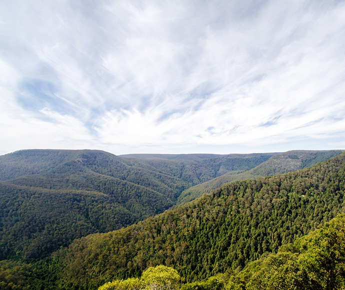 Valley view, Barrington Tops National Park