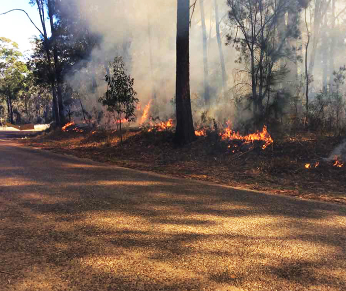 Jigamy hazard reduction burn underway in Ben Boyd National Park
