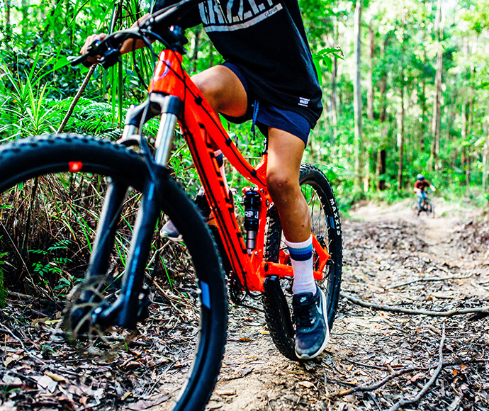 Mountain biking on Muurlay Baamgala cycle trails, in eucalypt forest at Bongil Bongil National Park, near Coffs Harbour