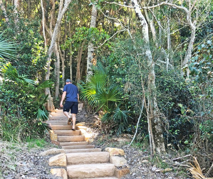 Man walking up stone steps through trees in national park