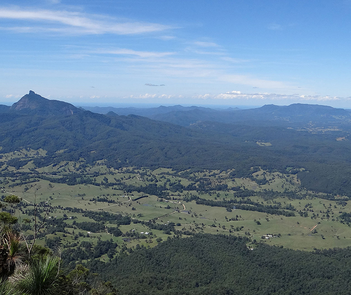 Wollumbin (Mt Warning) from Pinnacle Lookout, Border Ranges National Park