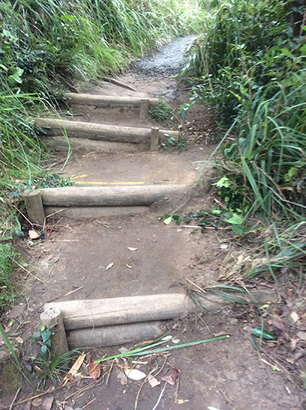 The old koppers log steps needed replacing and the track was eroded, Bouddi Coastal Walk