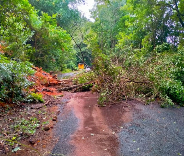 Landslip blocking the road at the entrance to Minnamurra Rainforest and visitor centre