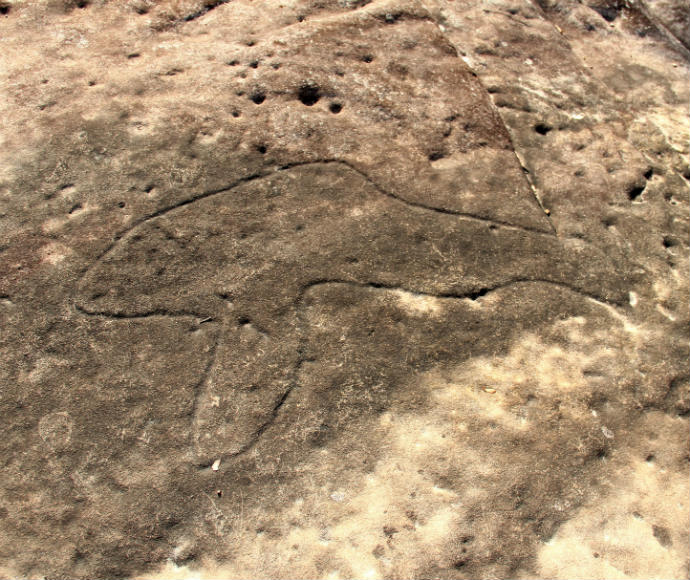 Rock carving, Bulgandry Aboriginal Site