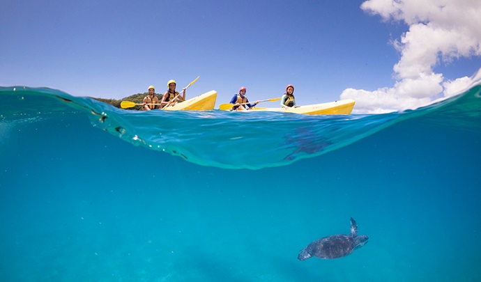 People are paddling 2 yellow kayaks along the water as a sea turtle swims below the surface in Cape Byron State Conservation Area.