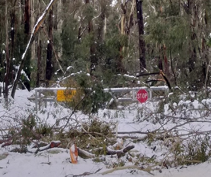 Storm damage at Coolah Tops National Park in June, 2021