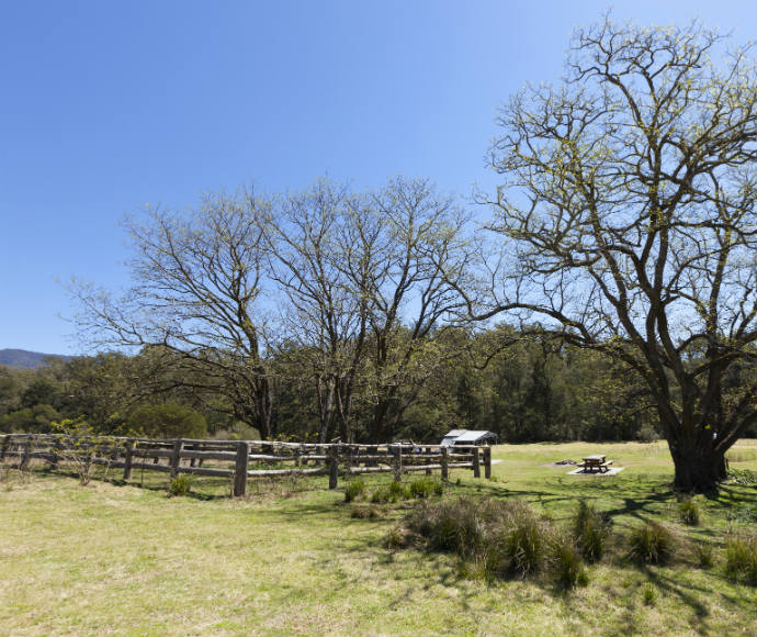 Wooden fences, Bendethera Valley campground, Deua National Park