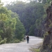 Visitor walks along the convict built Old Great North Road in Dharug National Park