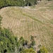 Aerial view of a bare, dry meadow with trees bordering one edge and rows of very tiny saplings in one fenced off section