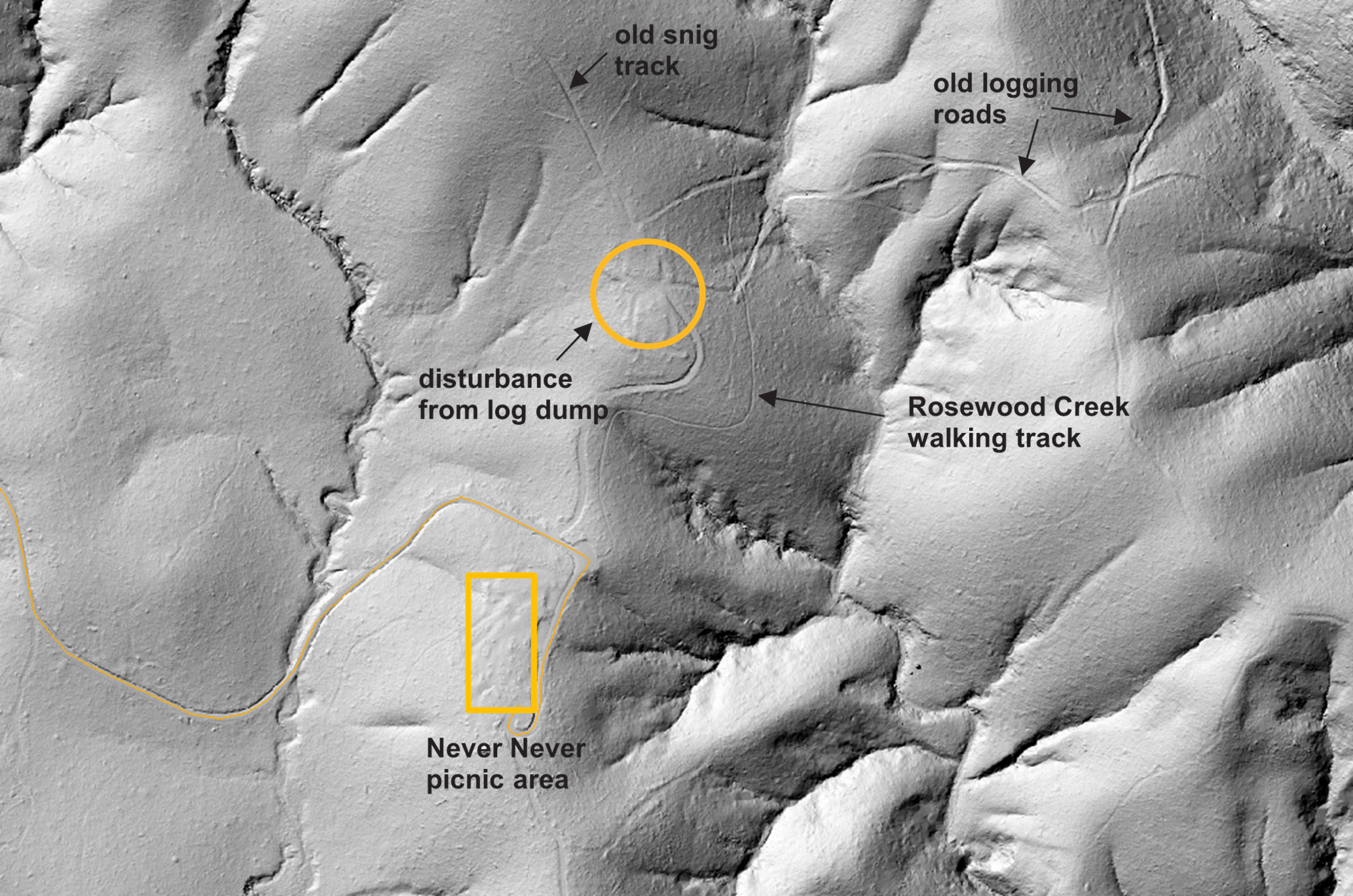 Three images of the same location near Never Never picnic area: satellite, topographic and LiDAR showing benching and ground disturbance from old logging trails