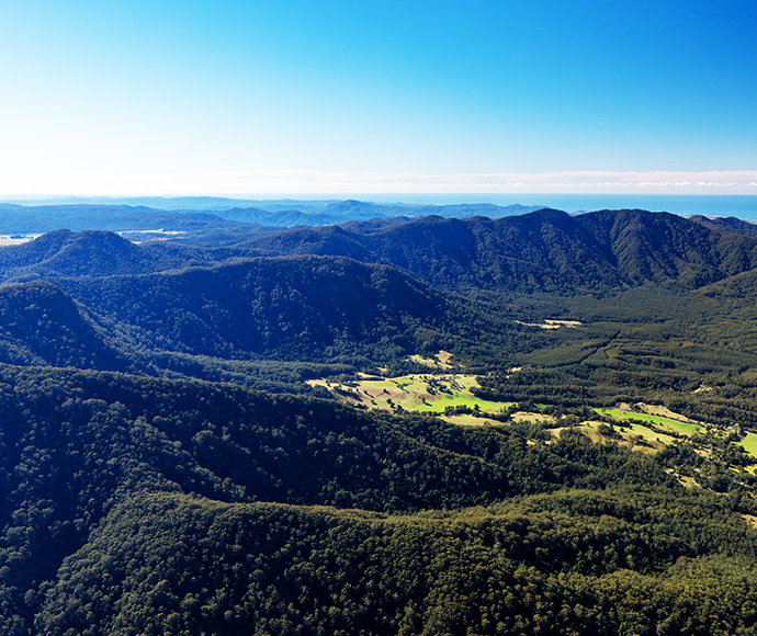 The magnificent forests and landscapes of the Dorrigo escarpment provide a spectacular backdrop for bushwalkers