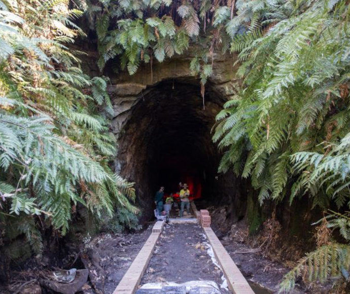 The dark arch of the Glow Worm Tunnel surrounded by green fronds, with workmen dimly visible just inside.