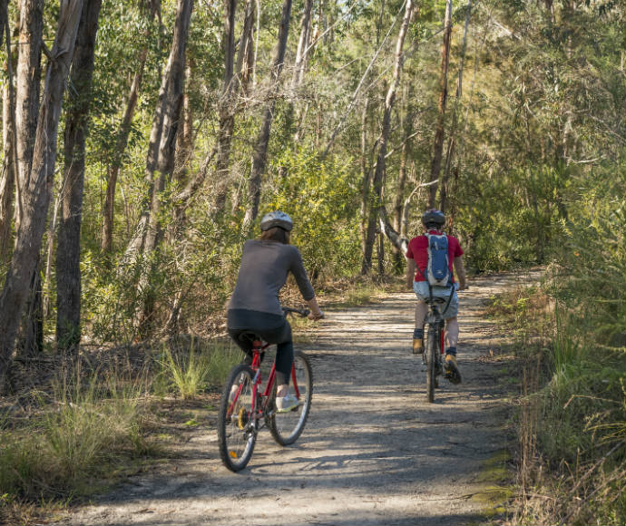 Garigal National Park is a popular mountain biking spot for Sydneysiders