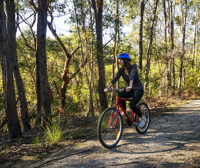 Mountain bike riders, healthy outdoor sports, Garigal National Park is a protected national park 