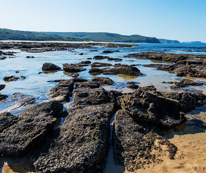 Rock platforms by Dudley Beach within Glenrock State Conservation Area.