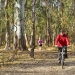Bike rider and female walking on the Gulpa Creek Walking and Cycling Track