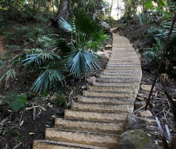 A path of carved sandstone steps wends uphill through coastal rainforest folliage