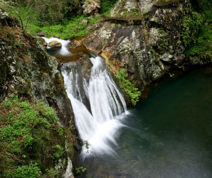 Jenolan River Waterfall