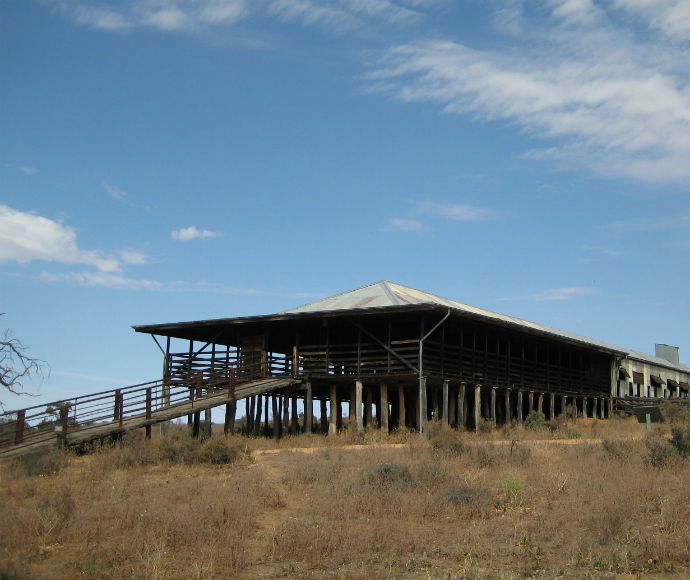 Kinchega Woolshed, Kinchega National Park