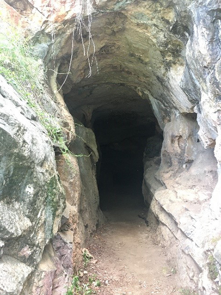 Entrance to Ashford Caves, Kwiambal National Park