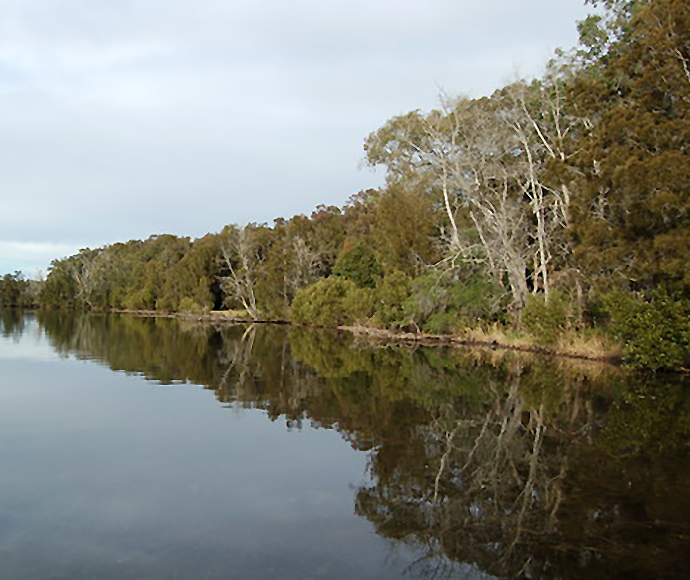 Morisset Lake Picnic Area Lake Macquarie State Conservation Area