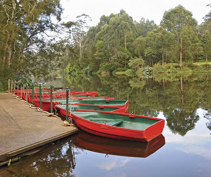 Brightly coloured row boats tied to jetty on the river at Lane Cove National Park