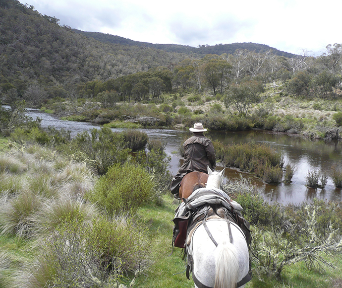 Horse rider leading packhorse about to cross a creek, Kosciuszko National Park