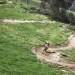 Rider at Thredbo Mountain Bike Park