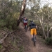  Two mountain bike riders cycle along a section of the lower Thredbo Valley track, in Kosciuszko National Park.