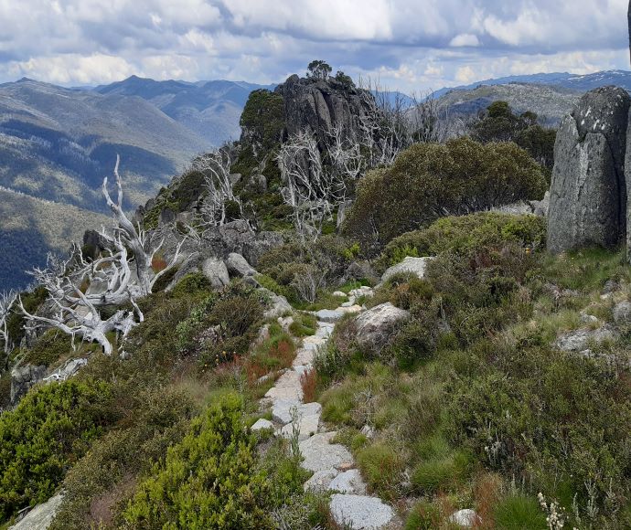 Stepping stones form part of the track between Charlotte Pass and Perisher, Snowies Alpine Walk