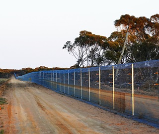 Once fenced areas are constructed, animals are moved into these safe havens with high fences which extend onto the ground on both sides, and flanked by maintenance roads, such as this fence
