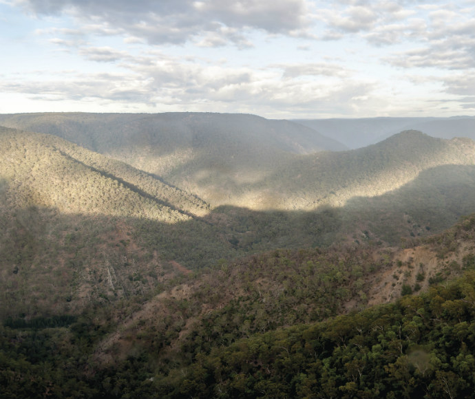 Badgerys Lookout rainforest traditional Country of the Yuin people Morton National Park