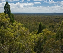 Pilliaga Sate Conservation Area in north-west NSW is one of the parks involved in reintroducing locally extinct mammals