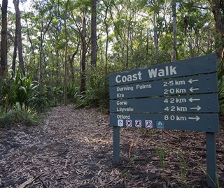 Coast Walk signage, Palm Jungle Loop Track, Royal National Park