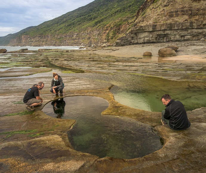 People exploring rock pools at Figure Eight Pools, Royal National Park