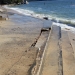 Damaged concrete step along seawall at Nielsen Park, Sydney Harbour National Park