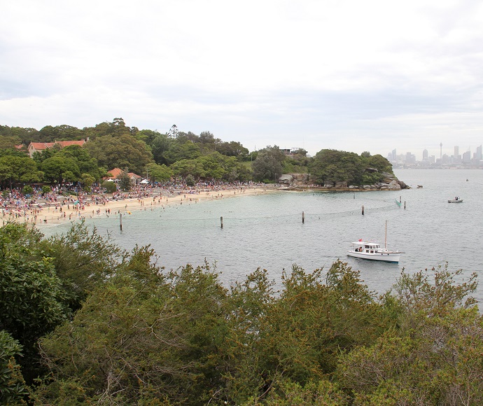 View from Shakespeares Point of a crowded Shark Beach, Sydney Harbour National Park, with Sydney city in the background