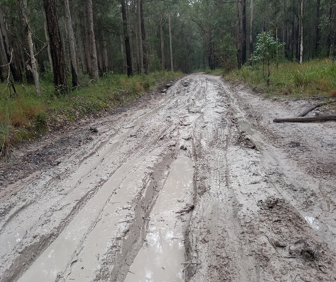 Muddy road lined with trees, Wallaroo National Park 