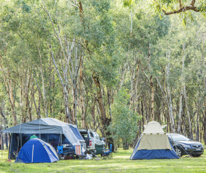 Blackman campground, Warrumbungle National Park