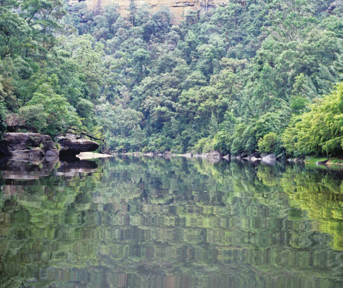 Colo River wilderness, water reflections, Wollemi National Park